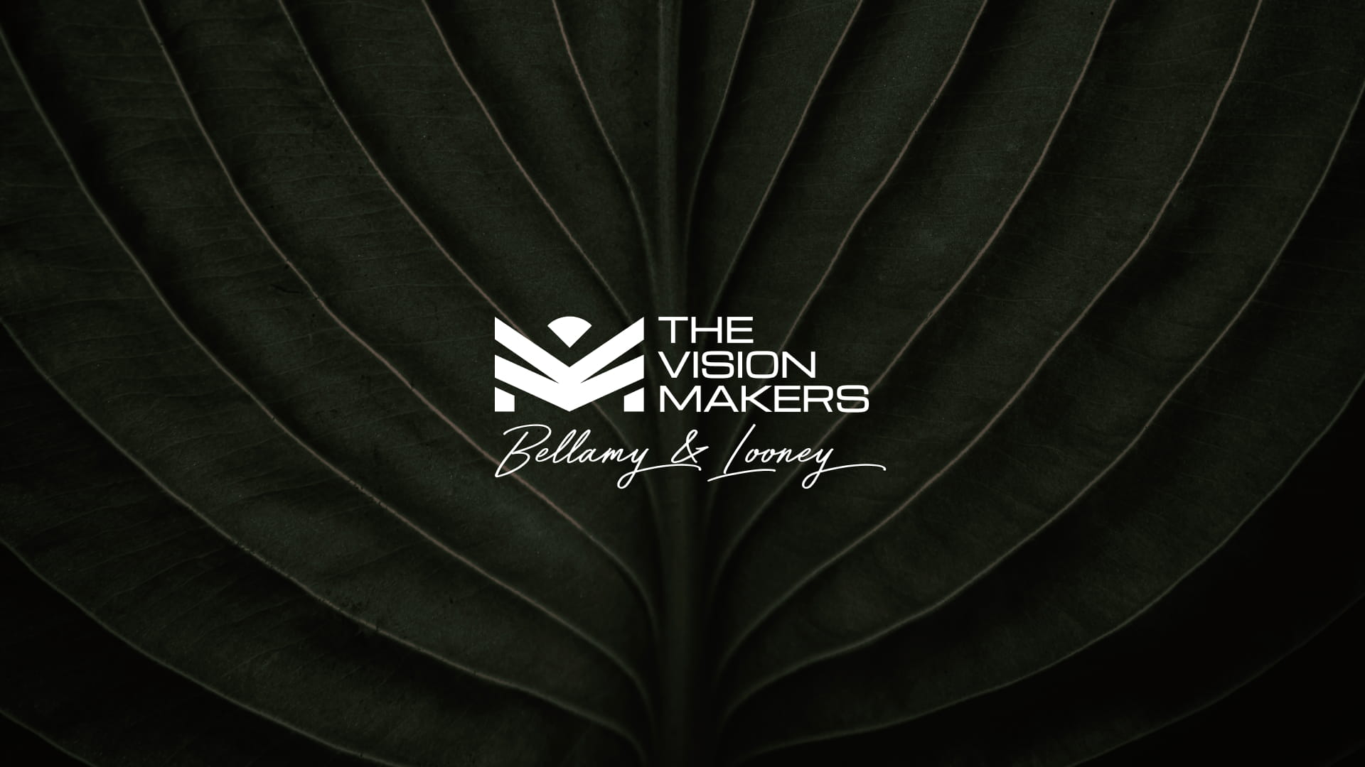 The Vision Makers Bellamy & Looney